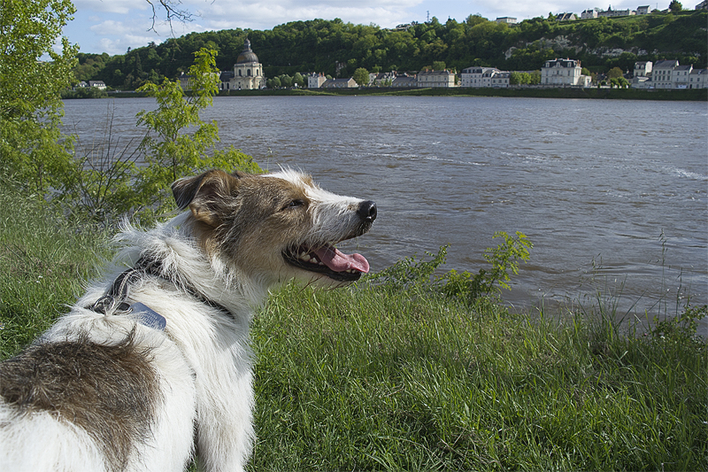 Tour Loire 05 - 201520150509_05095188.Felix  als Smartobjekt-1 Kopie.jpg - Bei wunderbarem Wetter haben wir uns für ein paar Tage auf einem Campingplatz direkt an der Loire niedergelassen.